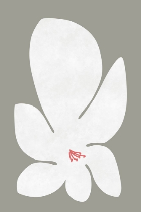 Picture of WHITE LILY FLOWER