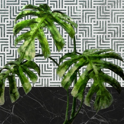 Picture of MONSTERA LEAVES ON TILED WALL