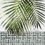 Picture of PALM LEAVES ON TILE WALL