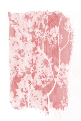 Picture of PINK TREE FOLIAGE SILHOUETTE