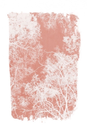Picture of PINK TREE FOLIAGE SILHOUETTE