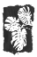 Picture of BLACK MONSTERA LEAVES SILHOUETTE