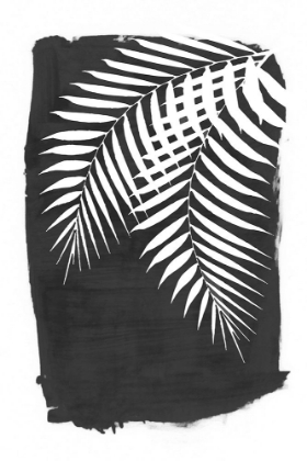 Picture of BLACK PALM LEAVES FOLIAGE SILHOUETTE