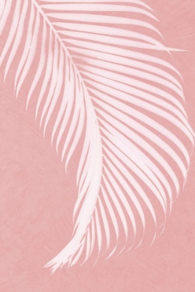 Picture of PALM LEAVES ON PINK SILHOUETTE I