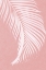 Picture of PALM LEAVES ON PINK SILHOUETTE I