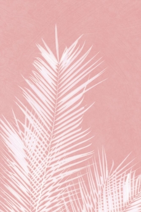 Picture of PALM LEAVES ON PINK SILHOUETTE II