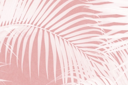 Picture of PALM LEAVES ON PINK SILHOUETTE IV