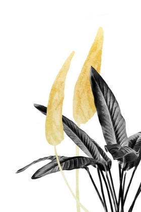 Picture of BIRD OF PARADISE PLANT BLACK, WHITE AND GOLD 01