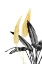 Picture of BIRD OF PARADISE PLANT BLACK, WHITE AND GOLD 01