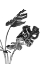 Picture of MONSTERA BLACK AND WHITE 02