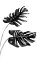 Picture of MONSTERA BLACK AND WHITE 04