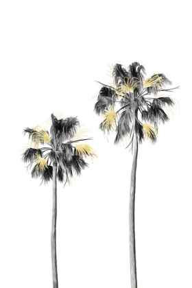 Picture of PALM TREE BLACK, WHITE AND GOLD 01