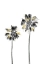 Picture of PALM TREE BLACK, WHITE AND GOLD 01