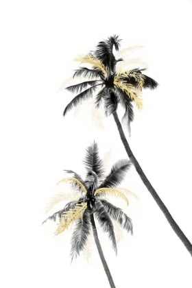 Picture of PALM TREE BLACK, WHITE AND GOLD 02