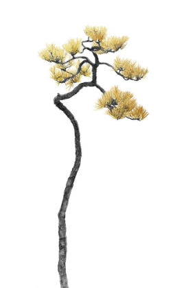 Picture of BONSAI TREE 05