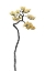 Picture of BONSAI TREE 05