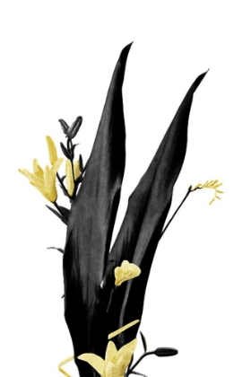 Picture of FLOWER MINIMAL BLACK AND GOLD 03