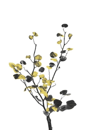 Picture of FLOWER MINIMAL BLACK AND GOLD 07