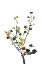Picture of FLOWER MINIMAL BLACK AND GOLD 07
