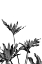 Picture of MONSTERA BLACK AND WHITE 08
