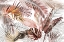 Picture of TROPICAL FOLIAGE 03