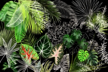 Picture of TROPICAL FOLIAGE 04