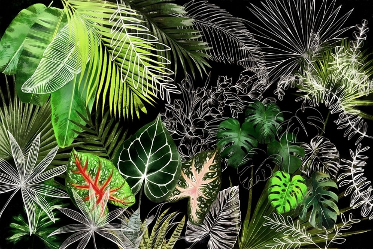 Picture of TROPICAL FOLIAGE 04