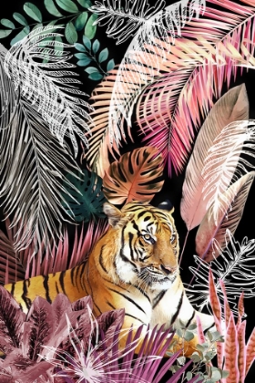 Picture of JUNGLE TIGER 01