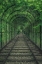 Picture of GREEN TUNNEL