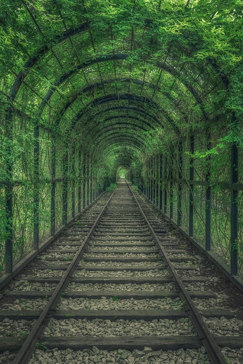 Picture of GREEN TUNNEL