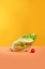 Picture of LETTUCE
