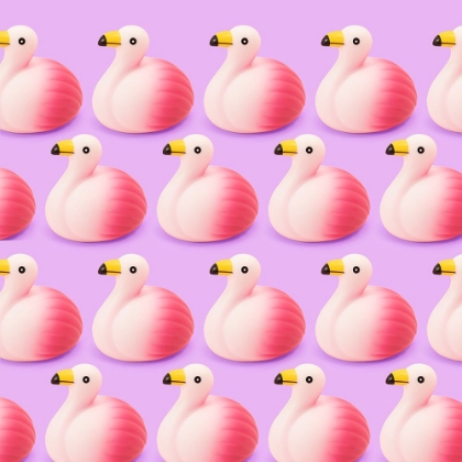 Picture of FLAMENCOS.