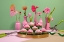 Picture of FLORISTERIA