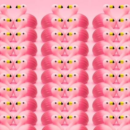 Picture of FLAMENCOS.5