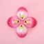 Picture of FLAMENCOS.1