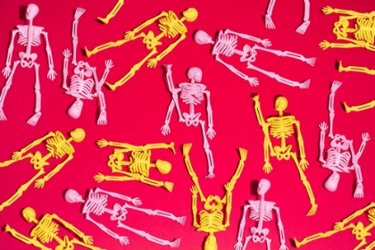 Picture of SKELETONS