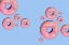 Picture of DONUTS