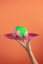 Picture of BRAIN4DINNER