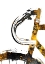 Picture of CYCLING 1 GOLD AND BLACK