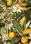 Picture of FLOWERS AND FRUITS 1