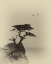 Picture of LONELY TREE