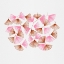 Picture of FAN SHAPE LINES PINK BROWN