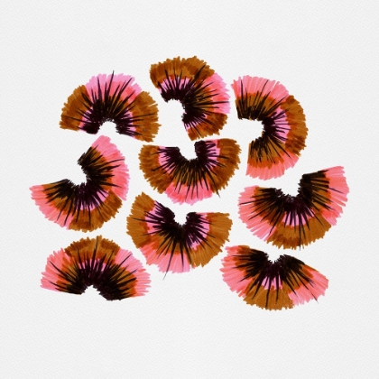 Picture of PENCIL SHAVINGS PINK BROWN 2