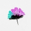 Picture of SINGLE FEATHERY FLOWER MINT LAVENDER