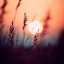 Picture of GLOWING SUN NO 1