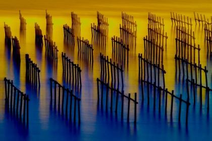 Picture of OYSTER SHEDS LIGHT AND SHADOW WATER FLOW