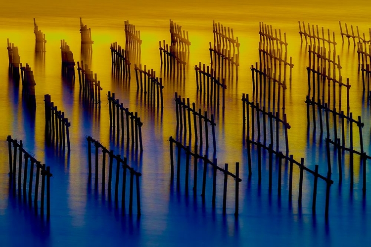 Picture of OYSTER SHEDS LIGHT AND SHADOW WATER FLOW