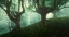 Picture of DEEP FOREST