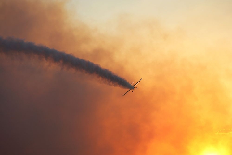 Picture of SUNSET FLIGHT