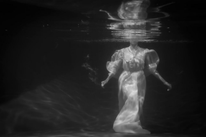 Picture of LA FEMME DES EAUX